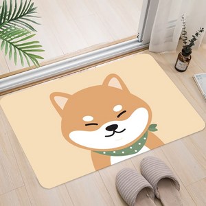 일상나눔 빨아쓰는 깨지지 않는 규조토 발매트