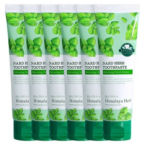 나드 부케가르니 구취케어 치약, 100g, 6개