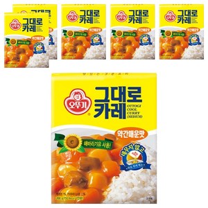오뚜기 즉석 그대로카레 약간매운맛, 200g, 6개