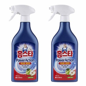 홈스타파워액션 욕실용 세정제, 500ml, 2개