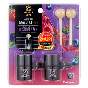 불스원 그라스 미니 송풍구 차량용 디퓨저 10ml, 블랙베리 & 체리, 2개