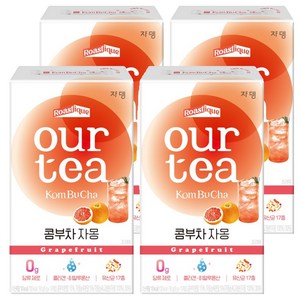아워티 콤부차 자몽
