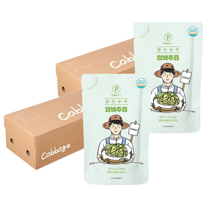 푸릇담 젊은농부 양배추즙, 3L, 2개