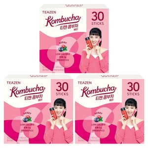 티젠 콤부차 베리