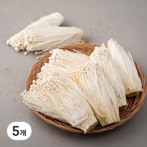 GAP 팽이버섯, 1.5kg, 5개