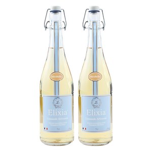 엘릭시아 자두맛 탄산음료, 750ml, 2개