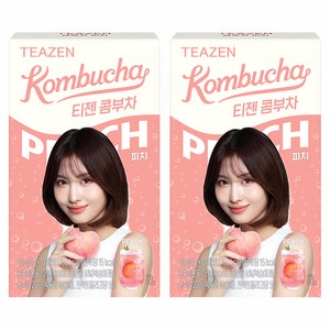티젠 콤부차 피치