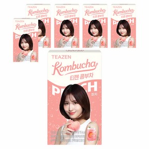 티젠 콤부차 피치