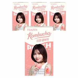티젠 콤부차 피치