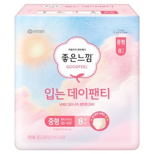 좋은느낌 입는 데이팬티 생리대