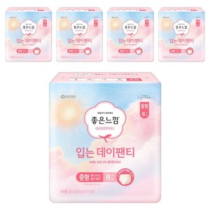 좋은느낌 입는 데이팬티 생리대