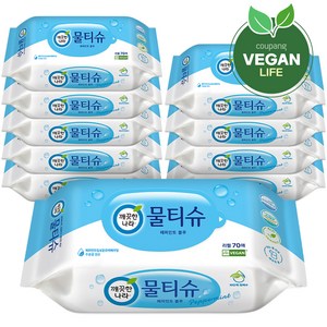 깨끗한나라 페퍼민트 블루 물티슈 리필형, 99g, 70매, 1개