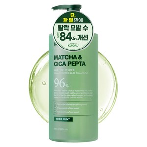 쿤달 말차 앤 시카펩타 탈모샴푸 허브민트, 1.05L, 1개