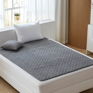 라헨느 프리미엄 카본 탄소 워셔블 전기요 HL-CP2004