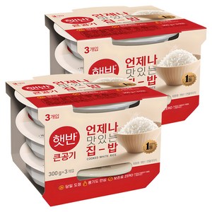 햇반 큰공기, 300g, 6개