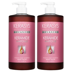 케라시스 케라마이드 극손상 클리닉 샴푸, 1L, 2개