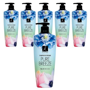 엘라스틴 퍼퓸 드 샴푸 퓨어브리즈향, 600ml, 6개