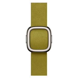 Apple 정품 2024 애플워치 모던 버클