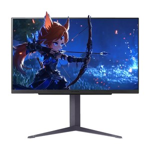 LG전자 QHD 울트라기어 게이밍 모니터 방문설치