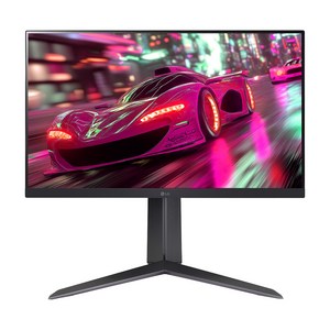 LG전자 FHD 울트라기어 게이밍 모니터 방문설치