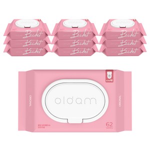 올담 오리지널 비데물티슈 캡형