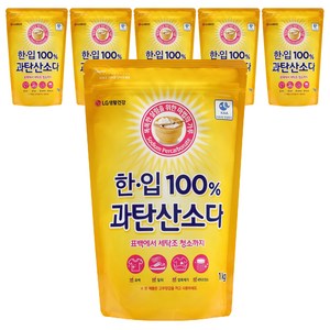 한입 100% 과탄산소다, 1kg, 6개