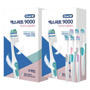 오랄비 엑스퍼트 9000 칫솔, 6개입, 2개