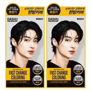 다슈 컬러 패스트 체인지 새치전용 염색제, 흑색, 2개