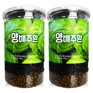 헬로우그린 양배추환 통, 300g, 2개