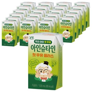 아인슈타인 베이비 플러스 우유, 120ml, 24개