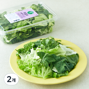 그린래빗 루꼴라 & 샐러드 Kit, 180g, 2개
