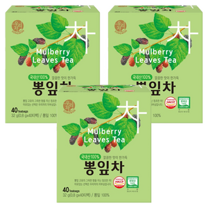 우리차 뽕잎차