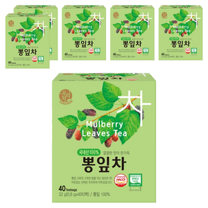 우리차 뽕잎차
