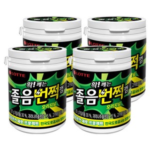 롯데웰푸드 졸음번쩍껌 오리지널, 87g, 4개