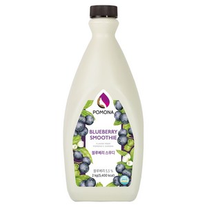 포모나 스무디 시럽 블루베리, 2kg, 1개