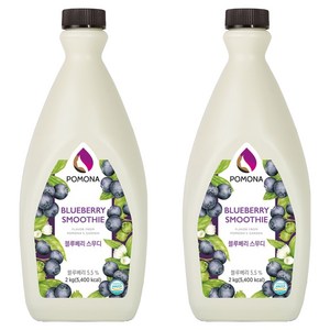 포모나 스무디 시럽 블루베리, 2kg, 2개