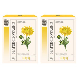 녹차원 국화차 티백, 20개입, 800mg, 2개