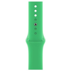 Apple 정품 애플워치 스포츠 밴드