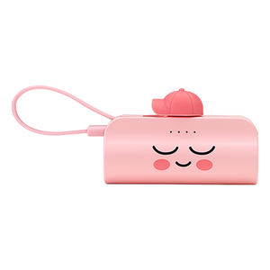 카카오프렌즈 힙스터 도킹형 보조배터리 5000mAh C타입