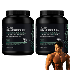 익스트림 밸런스드 프로틴 앤 류신 파우더, 1kg, 2개