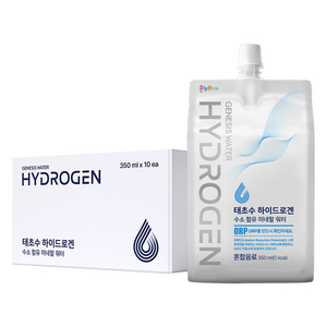 태초수 하이드로겐 수소 함유 음료, 350ml, 10개