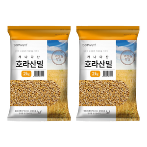 건강한밥상 호라산밀, 2kg, 1개