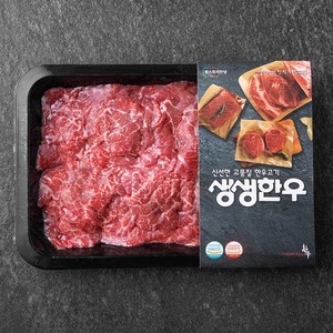 생생한우 1등급 불고기용 (냉장), 300g, 1개