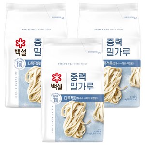 백설 중력 밀가루, 2.5kg, 3개