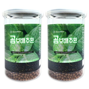 헬로우그린 곰보배추환 통, 2개, 250g