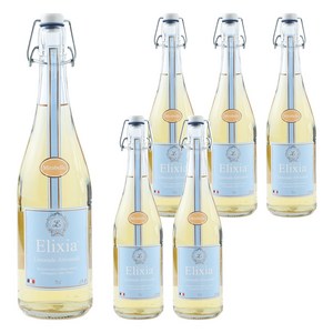 엘릭시아 자두맛 탄산음료, 750ml, 6개