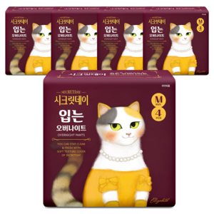 시크릿데이 하트 입는 오버나이트 팬티