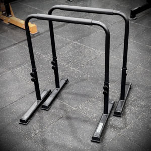 피트미션 딥스바 2p