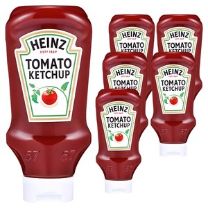 하인즈 토마토 케찹, 570g, 6개