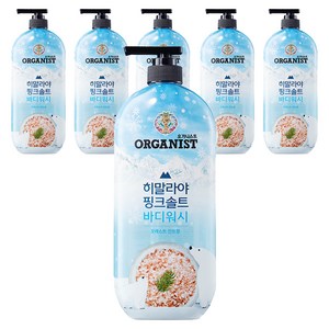 오가니스트 히말라야 핑크솔트 풍성한 거품 산뜻한 바디워시 포레스트향, 865ml, 6개